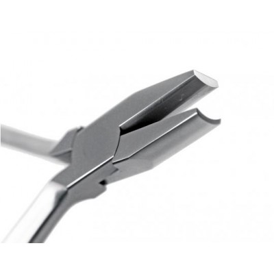 Pince Hollow chop